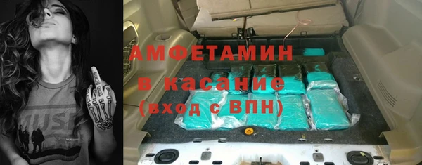 шишки Дмитровск